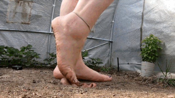 Cruel Claudia - CC - your place is under my feet