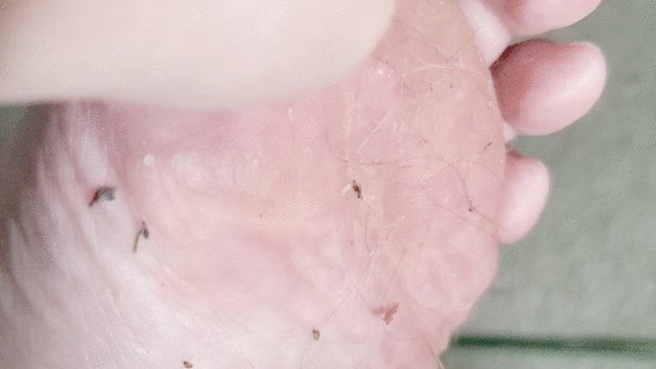 Qtdirtgirl Store - Feet Fresh from shower rubbing dry skin from size 12 bbw feet