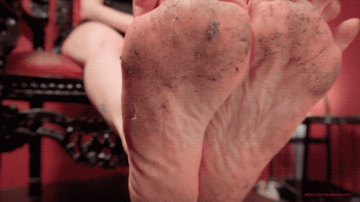 Mistress Victoria Colonna - M V C - LICK MY DISGUSTING FEET