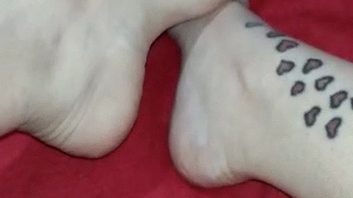 Erotika Fetish Brazil - Hot Girl Exhibiting Her Beautiful Feet - Queen Amy Addams