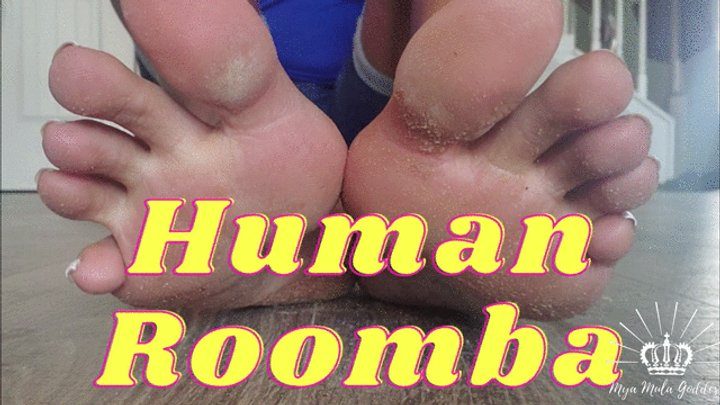 Myamulagoddess Clip Store - HUMAN ROOMBA DIRTY FOOT WORSHIP