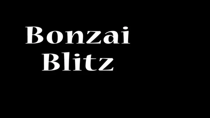 Fantasy Fight Girls By Ssp - FFGMIX Bonzai Blitz wmv