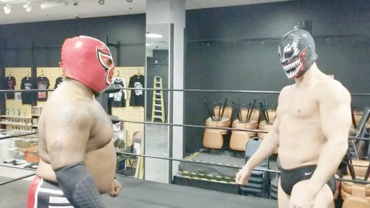Pandemic Pro Wrestling - Lucha Action: The Masked Redstar!