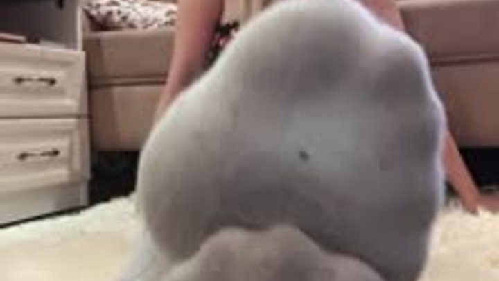 Blonde Bestie Stories - Taste my sweety toes after gym