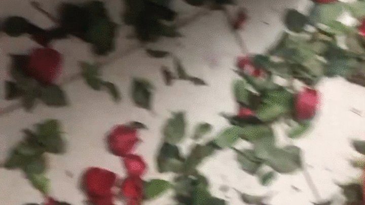 Goddesslohan - dirty feet cinderella