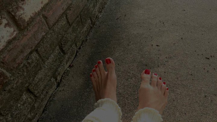 Wolfpause - Ruby Toes Dirty Soles