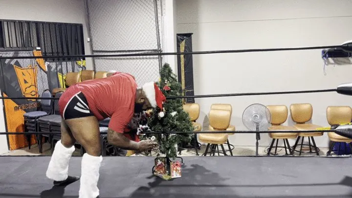 Pandemic Pro Wrestling - Santa Strip Brawl