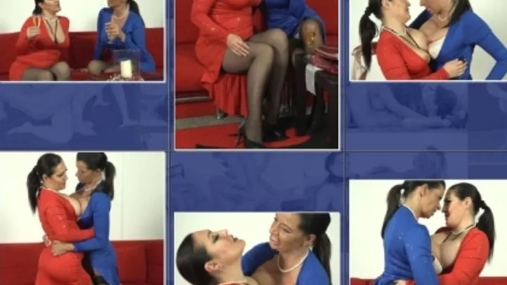 Catfight-corner Clip Store - E-C-C 416 