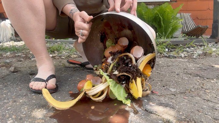 Forgetmenot - organic trash wmv