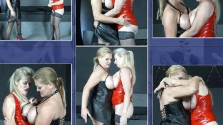 Catfight-corner Clip Store - E-C-C 419 