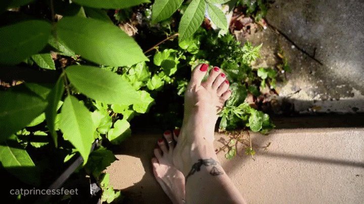 Catprincessfeet - Fresh red toes, red stiletto heels & arches tease, Hungarian milf feet
