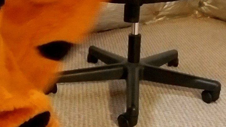 The Encasement Emporium - Fang Paws, Socks, and Barefeet