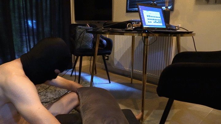 Mistress Tirza Nl - BBW feet worship submissive feet fetisj