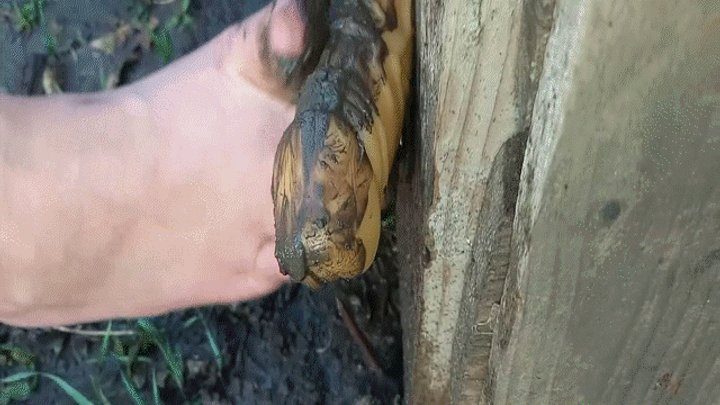 Appetizing Crumpet - Dirty footjob WMV(1280*720)HD