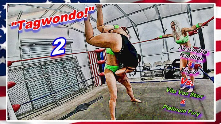 Modest Moms Wrestling - Tagwondo! 2 WMV