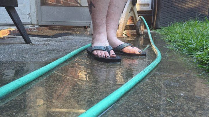 Harlequin Studios - Liz Lizard's Filthy Muddy Feet