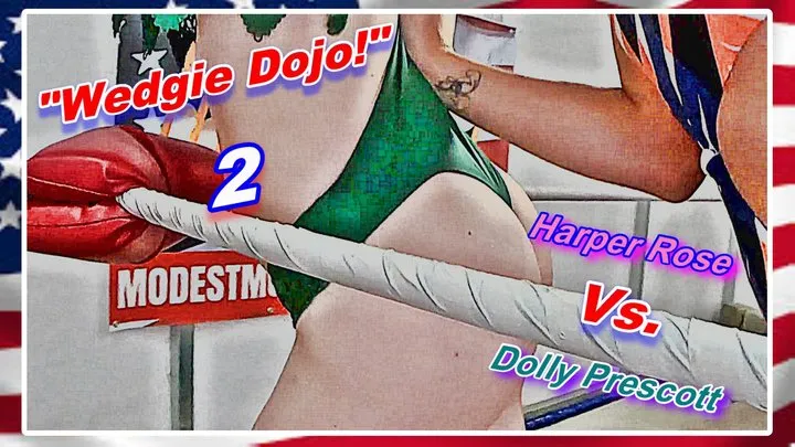 Modest Moms Wrestling - Wedgie Dojo! 2 WMV