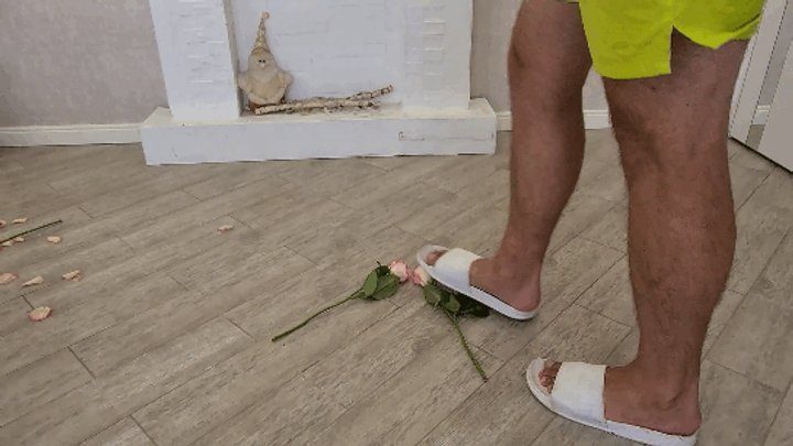 The Fantastic Evelina's World - STOMPING ROSES (mf)