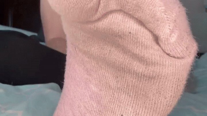 Goddess Alya Reign - My Roomba Is Broken-Clean My Filthy Feet With Your Mouth
