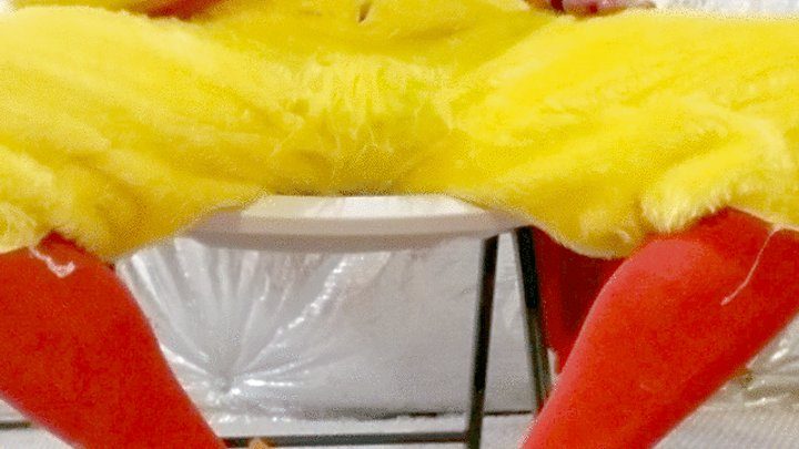The Encasement Emporium - Chicken Wants His Talons cleaned