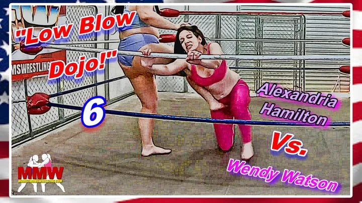 Modest Moms Wrestling - Low Blow Dojo! 6 WMV