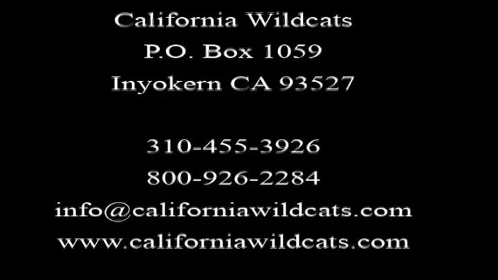 California Wildcats - CW 189 Nasty Wrestling, Vol. 1