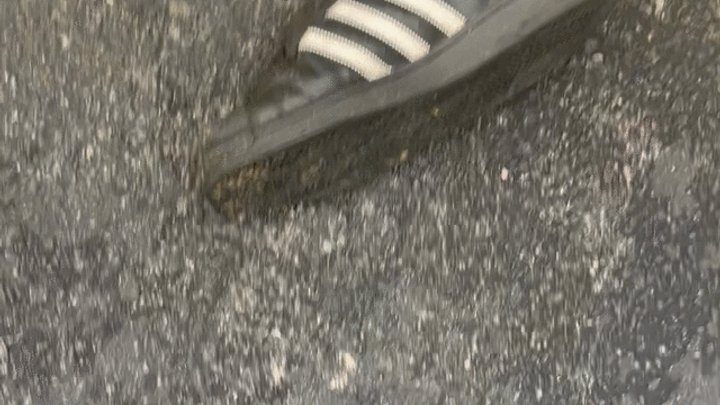 Bad Puppy Productions - Street feet, rough and bunions
