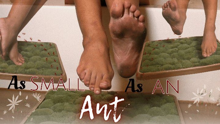 Cupcake Sinclair - As Small As An Ant
