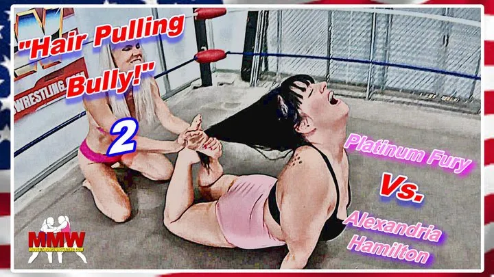 Modest Moms Wrestling - Hair Pulling Bully! 2 WMV