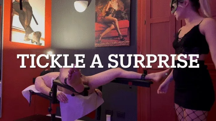Gea Domina - GEA DOMINA - TICKLE A SURPRISE (MOBILE)