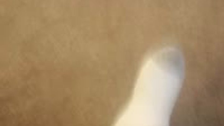 Fatbodyuglyfeet - Sweaty Stinky Feet