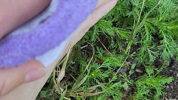 Nicole Nasty Feet - Sweaty, Smelly Socks and Shoes Kicked Off!!
