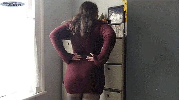 Fishnethousepet - BBW Pantyhose Facesitting POV (WMV)