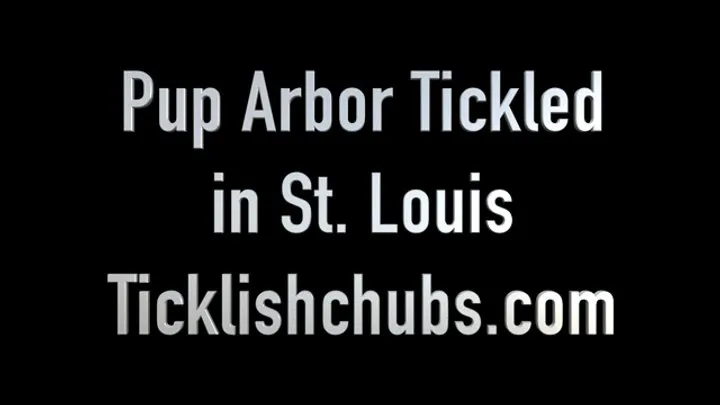 Ticklishchubs - Pup Arbor Tickled in St Louis