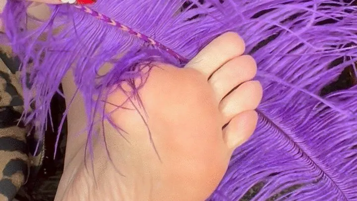 Foot Fondling - Fluffy feather foot tickles