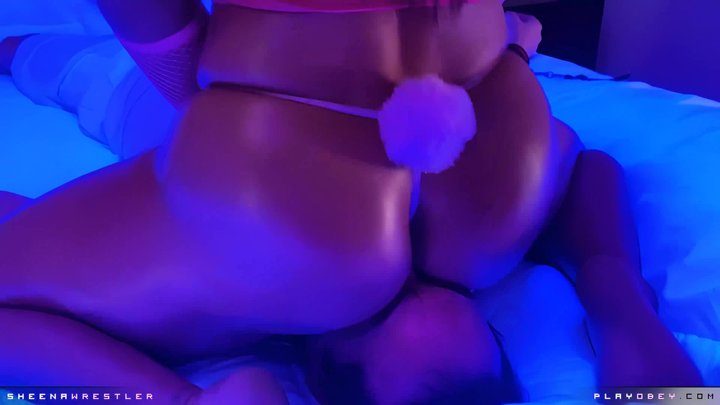 Playobey - Bunny Race! [MP4]