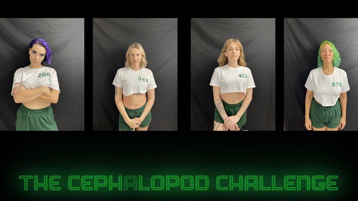 Soles Scream Experience - Cephalopod Challenge - A Squid Games Parody But With Tickling - Featuring Stelle Elle, Blondi, Vicky Vixxx, Phoenix Stacy, Cleo Jane and Goddess Fina