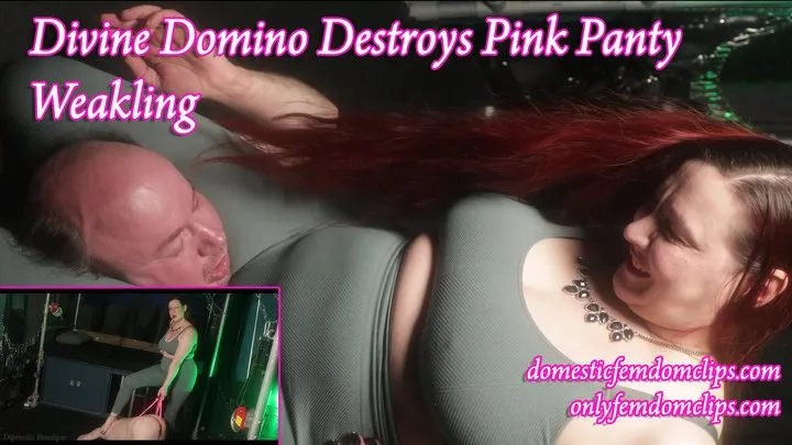 Domestic Femdom - Divine Domino destroys Pink Panty Weakling