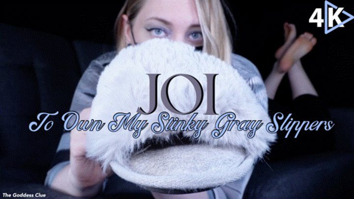 The Goddess Clue Clip Store - JOI to Own My Stinky Gray Slippers - 4K - The Goddess Clue, Scent Fetish, Shoe Fetish, Foot Slave Training, Well Worn Slippers and Feet JOI
