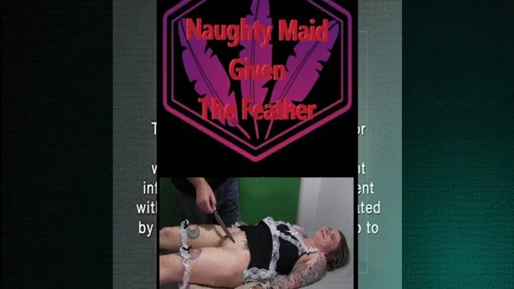 Ticklingisfun - Naughty Maid Given the Feather Dual Cam WMV