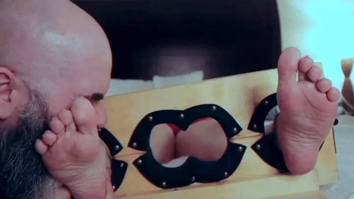Boston Tickling - Ticklish Kitty Is Nibblish In The Stocks!