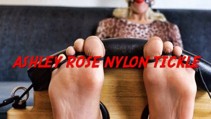 The Devils Footstool - Ashley Rose Nylon Tickle