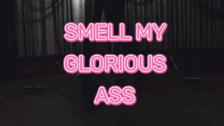 Kink Therapy - Gimp Training: Smell My Glorious Ass Slave