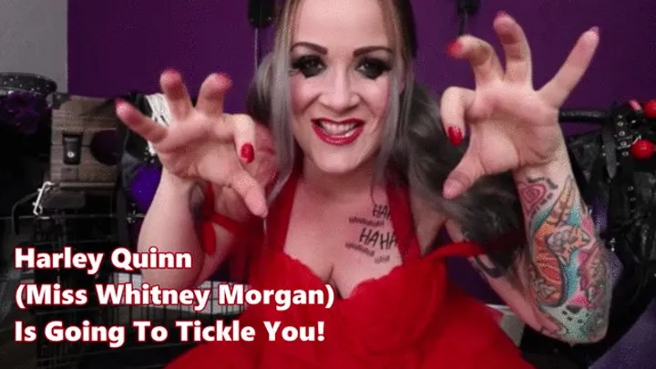 Domme-nation - Harley Quinn Is Going To Tickle YOU - mp4