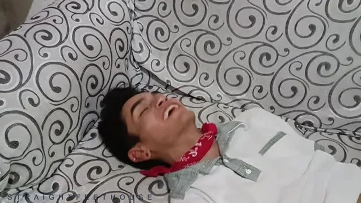 Straightfeethouse - TIMON HACE COSQUILLAS A HECTOR