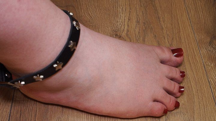 Anastasia Gree Clip Store - #5 Feet Slave must worship my BBW feet (no talking)