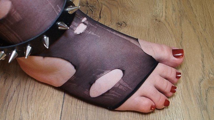 Anastasia Gree Clip Store - #7 Dumb Loser worship my feet in old torn stockings (no talking)