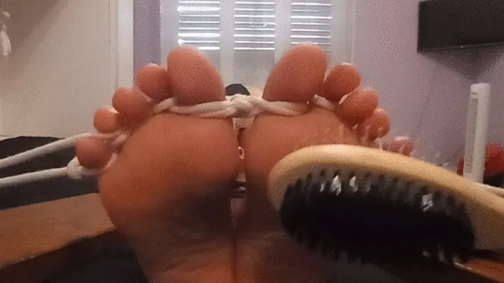 Hometicklingfeet - Solletico piedi con spazzole