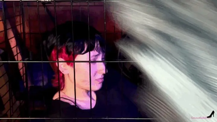 Autumns Below The Belt Fantasies - A Captive Tickled - Smokin Rose Foot Tickling Slave Tickling Feet in Stocks Tickling Domination Male Tickling Female Tickling Challenges Caged Woman HDMP4