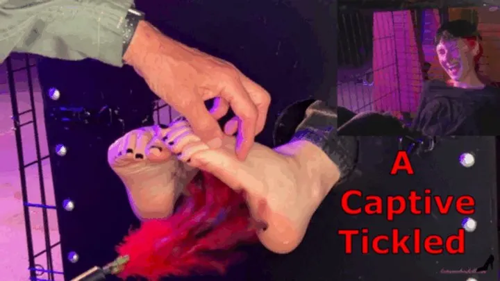 Autumns Below The Belt Fantasies - A Captive Tickled - Smokin Rose Foot Tickling Slave Tickling Feet in Stocks Tickling Domination M Tickling F Tickling Challenges Caged Woman MOBILE